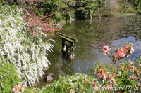 Kyoyochi pond
